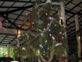 malediven2008_IMG_0317