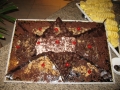 malediven2008_IMG_0359
