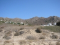 naxos1007_IMG_2042
