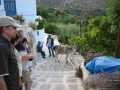 naxos1007_IMG_2050