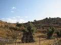 naxos1007_IMG_2058