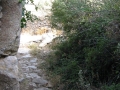 naxos1007_IMG_2059