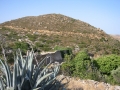 naxos1007_IMG_2062