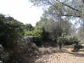 naxos1007_IMG_2076