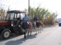 naxos1007_IMG_2136