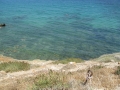 naxos-06-2009-_IMG_0696