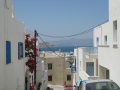 naxos-06-2009-_IMG_0717