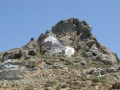 naxos-06-2009-_IMG_0734