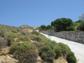 naxos-06-2009-_IMG_0747