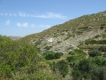 naxos-06-2009-_IMG_0769