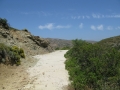 naxos-06-2009-_IMG_0771