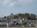 naxos-2010_IMG_1185