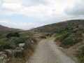naxos-2010_IMG_1216