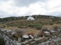 naxos-2010_IMG_1225