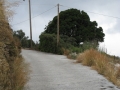 naxos-2010_IMG_1231