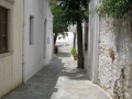 naxos-2010_IMG_1233
