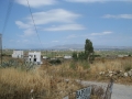 naxos-2010_IMG_1237
