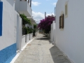 naxos-2010_IMG_1244