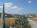 naxos-2010_IMG_1248