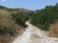 naxos-2010_IMG_1254