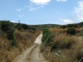 naxos-2010_IMG_1255