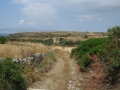 naxos-2010_IMG_1259