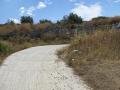 naxos-2010_IMG_1261