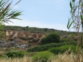 naxos-2010_IMG_1262