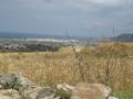 naxos-2010_IMG_1264