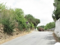 naxos-2010_IMG_1272