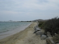 naxos-2010_IMG_1291