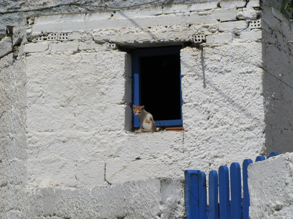 Naxos Juni 2010